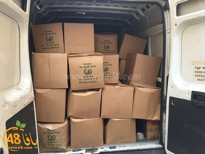 torold yaffa (14).jpg